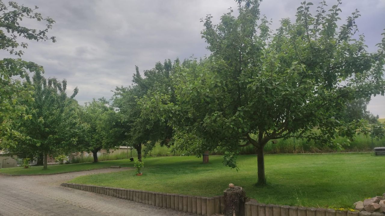 IMG-20250609-WA0003 IMG-20250609-WA0003